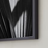 "Palmery 2" - Art Print in Black and White by Catherine Culvenor - Frame Close-up