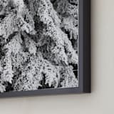 "Frost 3" - Art Print in Black & White by Ardell McLennan - Frame Close-up
