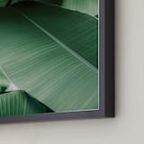 "Tropical Leaves" - Art Print in White by Alicia Abla - Frame Close-up