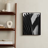 "Palmery 2" - Art Print in Black and White by Catherine Culvenor - In a Room