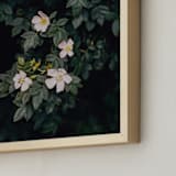 "Moody white roses" - Art Print in deep green by Hanke Arkenbout - Frame Close-up