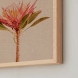 "Protea Collection 3" - Art Print in Clay by Paola Benenati - Frame Close-up