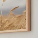 "marsh grass" - Art Print in Golden by Crystal Lynn Collins - Frame Close-up