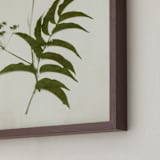 "Foraged III" - Art Print in Verdant by Kamala Nahas - Frame Close-up