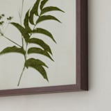 "Foraged III" - Art Print in Verdant by Kamala Nahas - Frame Close-up