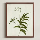 "Foraged III" - Art Print in Verdant by Kamala Nahas - Framed