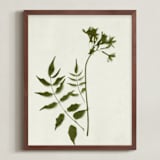 "Foraged II" - Art Print in Verdant by Kamala Nahas - Framed