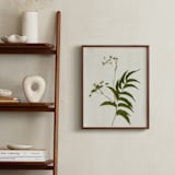 "Foraged III" - Art Print in Verdant by Kamala Nahas - In a Room