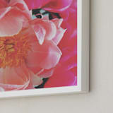 "Vintage Peonies" - Art Print in peachy pinks by HafnHafStudio - Frame Close-up
