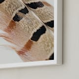 "Feather Study I" - Art Print in Auburn by Becca Beers - Frame Close-up