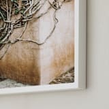 "Hold On" - Art Print in ivy by Janet Cruz - Frame Close-up