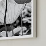 "dancing in the light" - Art Print in classic black and white by Qing Ji - Frame Close-up