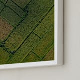 "Above the Paddy" - Art Print in Green by Alaric Yanos - Frame Close-up