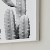 "Moorten Cactus Study 1" - Art Print in Silver Grey by Lisa Sundin - Frame Close-up