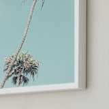 "Palms for Days" - Art Print in Pale Turquoise by Shannon Howard - Frame Close-up