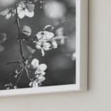 "Vintage Blossoms I" - Art Print in Sunlit Grey by Hettie Roberts - Frame Close-up
