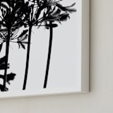 "High Drama" - Art Print in Black and White by Nadia Hassan - Frame Close-up