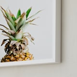 "Pining for Pineapple" - Art Print in pineapple green by Joni Tyrrell - Frame Close-up