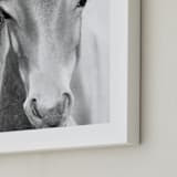 "Wild and free." - Art Print in Charcoal by Dawn Smith - Frame Close-up