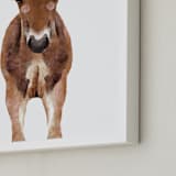 "Baby Animal Horse" - Art Print in caramel truffle by Cass Loh - Frame Close-up