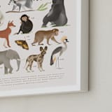 "Africa, endangered animals" - Art Print in Ivory by Sabrin Deirani - Frame Close-up