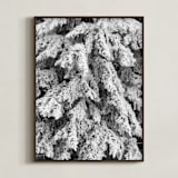 "Frost 3" - Art Print in Black & White by Ardell McLennan - Framed