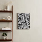 "Frost 3" - Art Print in Black & White by Ardell McLennan - In a Room