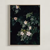 "Moody white roses" - Art Print in deep green by Hanke Arkenbout - Framed