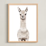 "Baby Animal Llama" - Art Print in Milky foam by Cass Loh - Framed