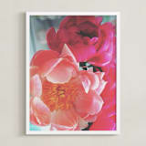 "Vintage Peonies" - Art Print in peachy pinks by HafnHafStudio - Framed