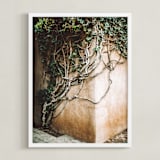 "Hold On" - Art Print in ivy by Janet Cruz - Framed