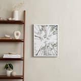 "Aspens at Altitude" - Art Print in Wonderfully White by Kaleb Nimz - In a Room