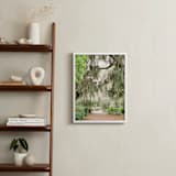 "Spanish Moss" - Art Print in Savannah Grey by Lindsay Madden - In a Room