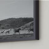 "wild wild west II" - Art Print in Western Grey by Sara Hicks Malone - Frame Close-up