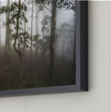 "Trees in the Mist" - Art Print in Fog White by Benno and Noosa - Frame Close-up