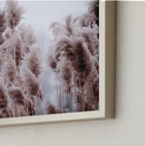 "Plumose" - Art Print in Natural by Robin Ott - Frame Close-up