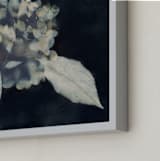 "Hortensia" - Art Print in Midnight by Courtney Crane - Frame Close-up