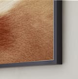 "Fade" - Art Print in Fawn by Catherine Culvenor - Frame Close-up