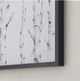 "Birch Story" - Art Print in Birch Grey by jinseikou - Frame Close-up