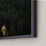 "the lone wolf" - Art Print in blue green by Jacob Loafman - Frame Close-up