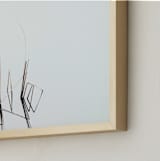 "Abstract Reeds" - Art Print in Fog by Robin Ott - Frame Close-up