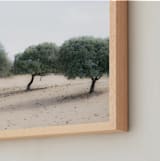 "Casting Shade" - Art Print in Sage by Courtney Crane - Frame Close-up