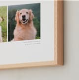 "Two Photo: Landscape Framed Photo" - Framed Photo in White by Anelle Mostert - Frame Close-up