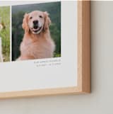 "Framed Photo: Two Photo" - Framed Photo in White by Anelle Mostert - Frame Close-up
