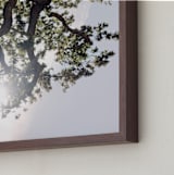 "Elegant Oak Tree" - Art Print in Baby Blue by Wilder California - Frame Close-up