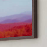 "Bold Ridge" - Art Print in Carnival by Deborah Chou - Frame Close-up