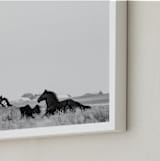 "That Wild Dream" - Art Print in Black White by Amy Carroll - Frame Close-up