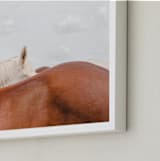 "peekaboo II" - Art Print in big sky by Sara Hicks Malone - Frame Close-up
