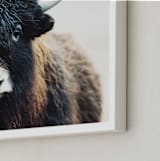 "Thomas Bangs" - Art Print in Black Brown by Amy Carroll - Frame Close-up