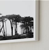 "Lands End" - Art Print in Black & White by Tania Medeiros - Frame Close-up